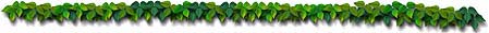 Leaf Hard Rule